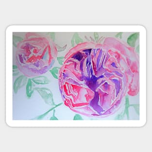 Rose Watercolor Painting - Pink Vintage Sticker